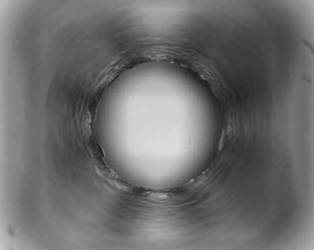 X0000101410332200807071012