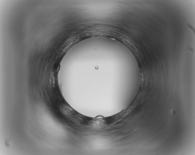 X0000101410333200807071012