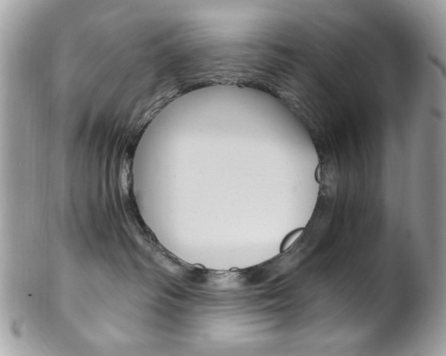 X0000101410334200807071012