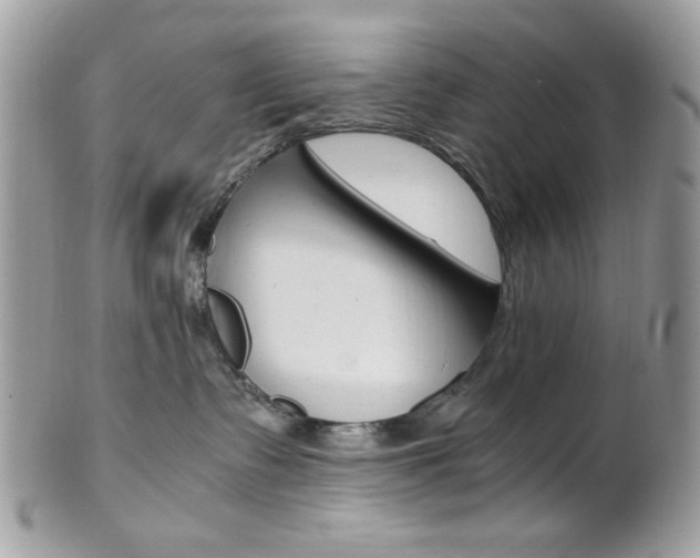 X0000101410335200807071012