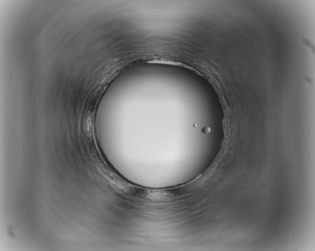 X0000101410336200807071012