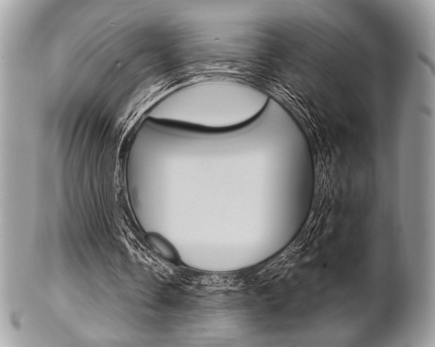 X0000101410338200807071012