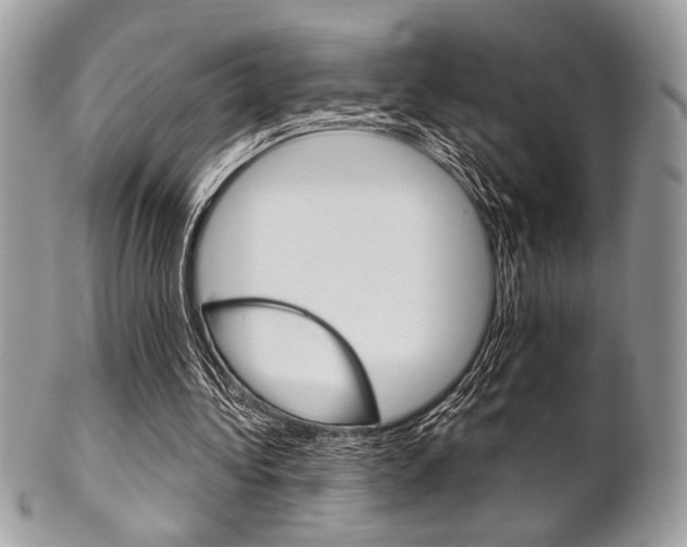 X0000101410340200807071012