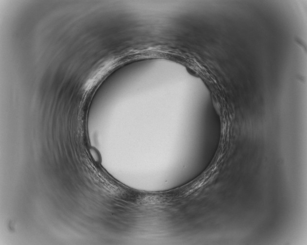 X0000101410341200807071012