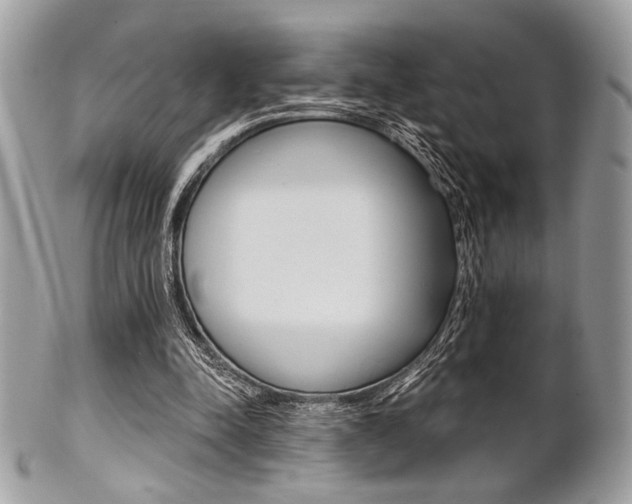 X0000101410342200807071012