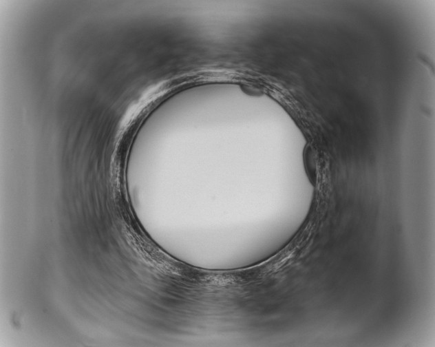 X0000101410343200807071012