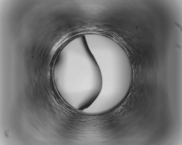 X0000101410344200807071012