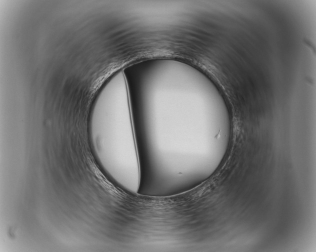 X0000101410345200807071012