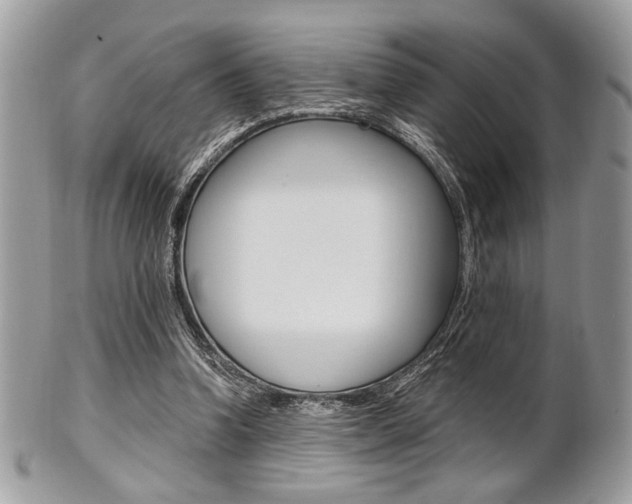 X0000101410346200807071012