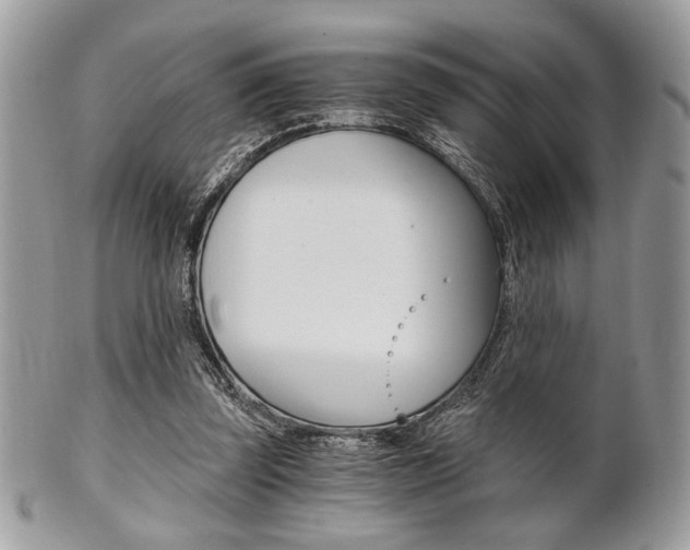 X0000101410347200807071012