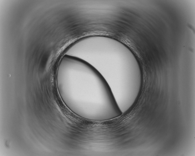 X0000101410348200807071012