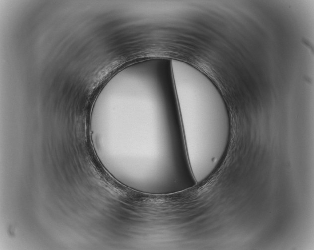 X0000101410349200807071012