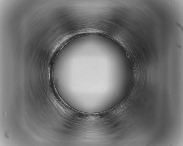 X0000101410350200807071012