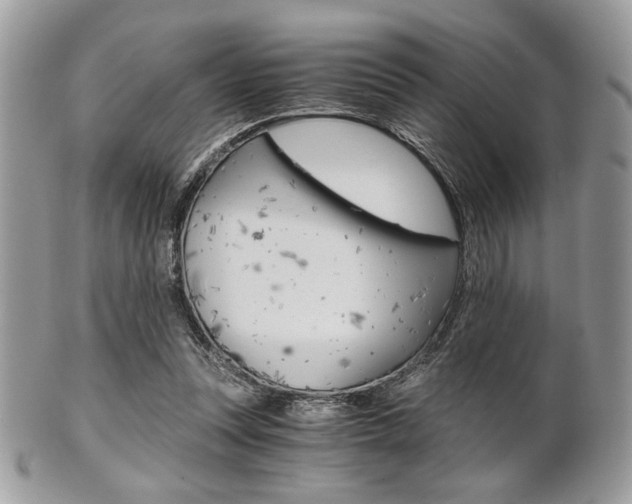 X0000101410351200807071012