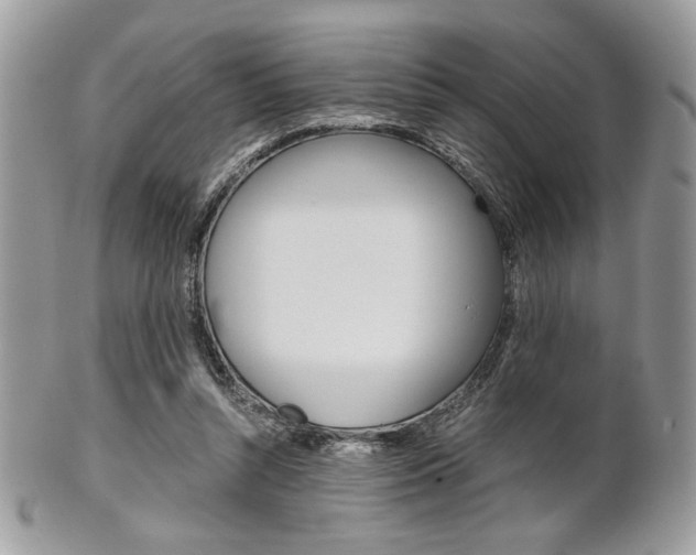 X0000101410352200807071012