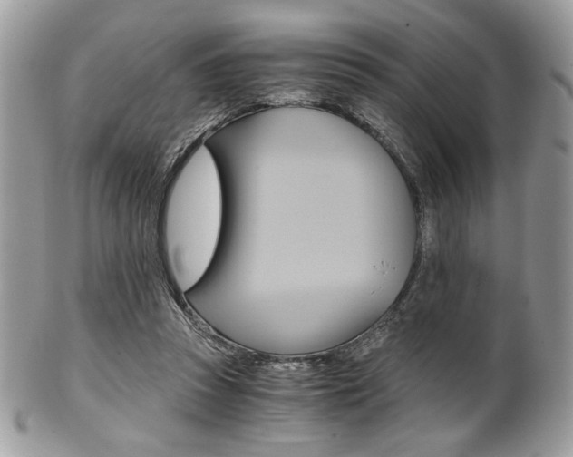 X0000101410353200807071012