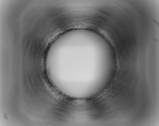 X0000101410354200807071012