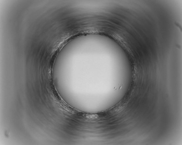 X0000101410355200807071012