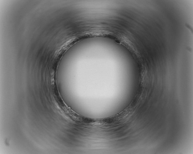 X0000101410356200807071012
