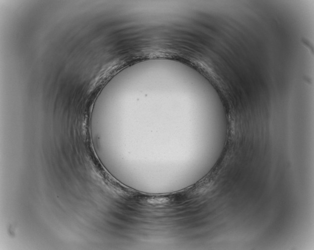 X0000101410357200807071012