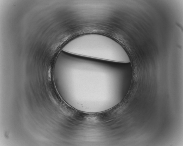 X0000101410358200807071012