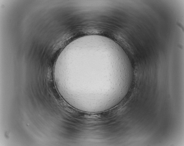 X0000101410359200807071012