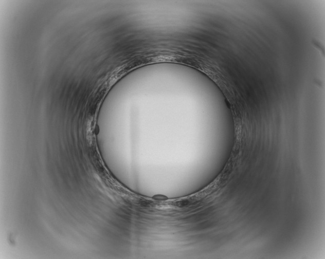 X0000101410360200807071012