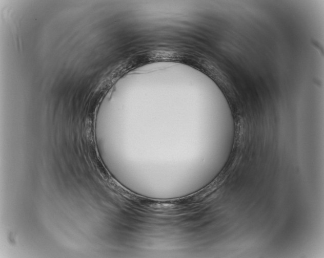 X0000101410361200807071012