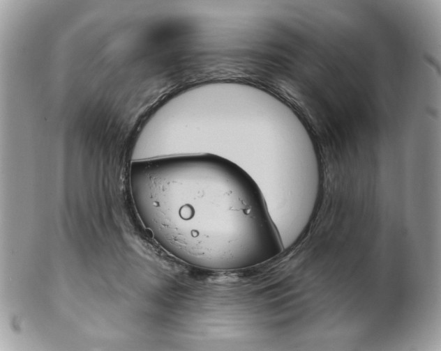 X0000101410362200807071012