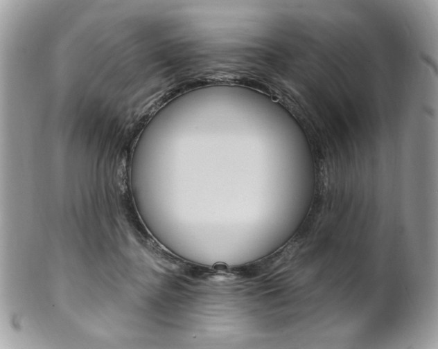 X0000101410364200807071012