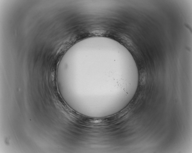 X0000101410365200807071012