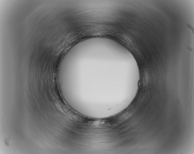 X0000101410366200807071012