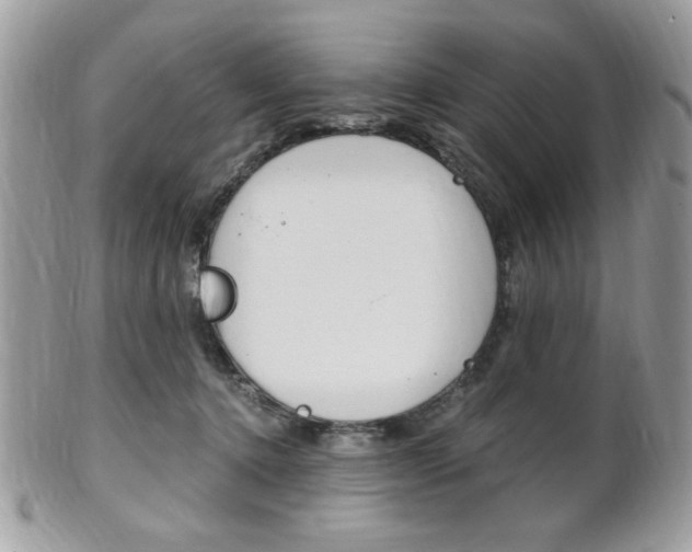 X0000101410368200807071012
