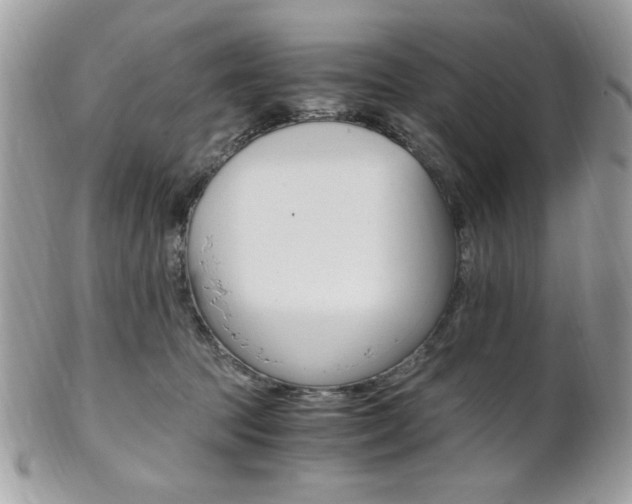 X0000101410369200807071012