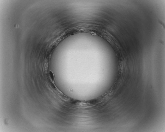 X0000101410372200807071012