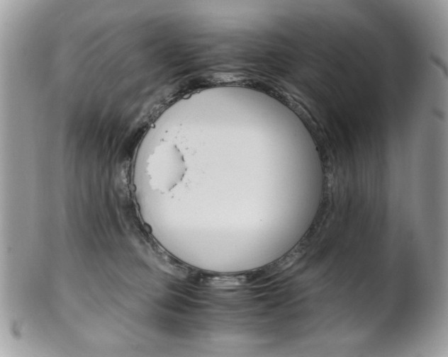 X0000101410373200807071012
