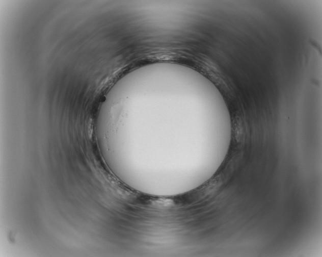 X0000101410374200807071012