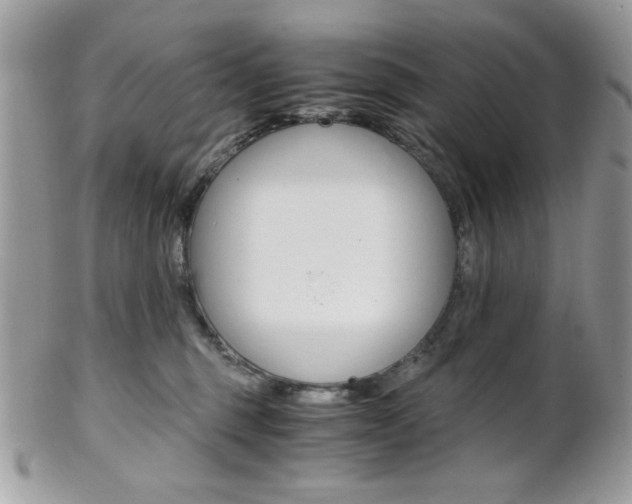 X0000101410375200807071012