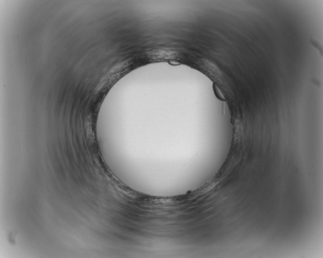X0000101410377200807071012