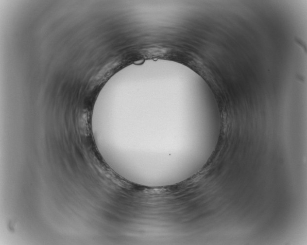 X0000101410378200807071012