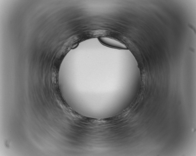 X0000101410379200807071012
