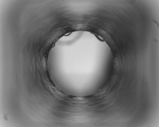 X0000101410380200807071012