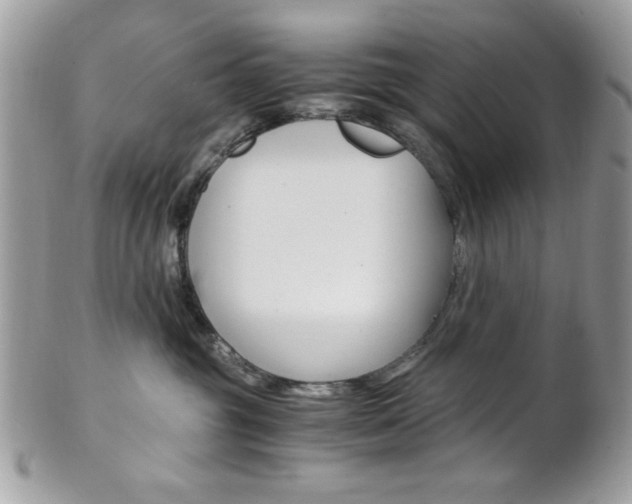 X0000101410381200807071012