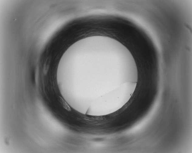 X0000101410382200807071012