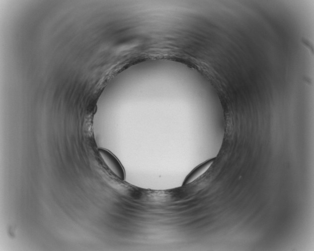 X0000101410383200807071012