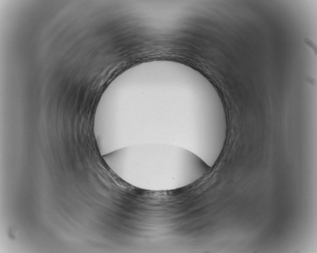 X0000101410384200807071012