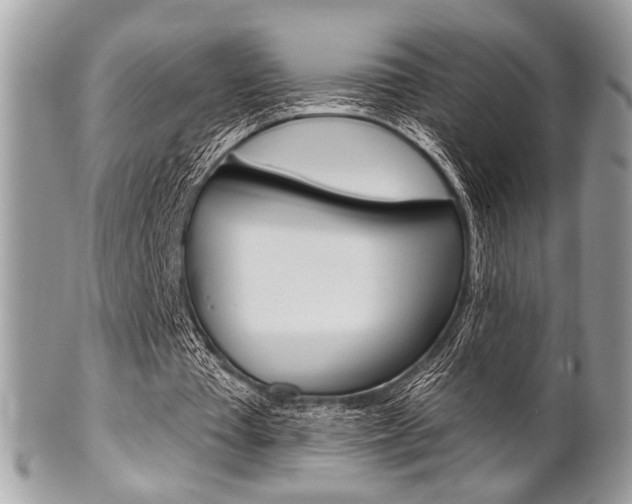 X0000101410385200807071011