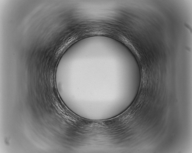 X0000101410386200807071011