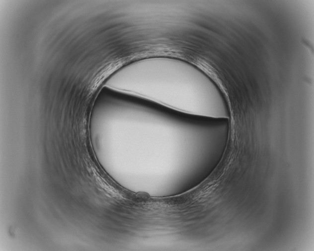 X0000101410389200807071011