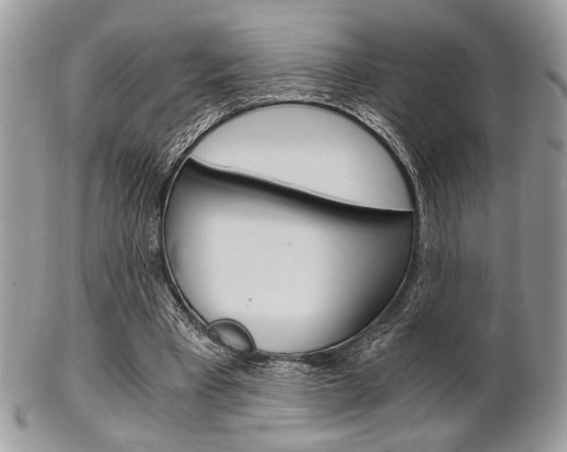 X0000101410393200807071011
